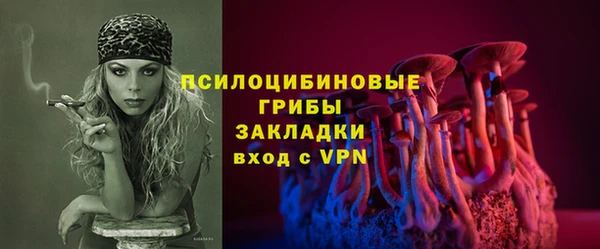 PSILOCYBIN Каменка