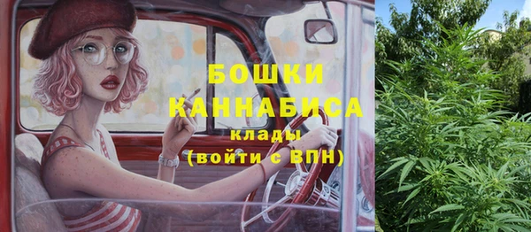 PSILOCYBIN Каменка