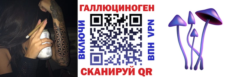 даркнет сайт  Муром  Галлюциногенные грибы Cubensis 