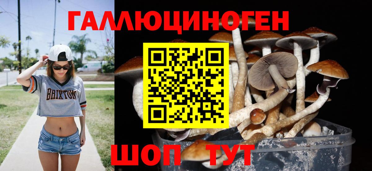 Муром  Псилоцибиновые грибы мицелий  Вход с VPN  Галлюциногенные грибы Psilocybe 
