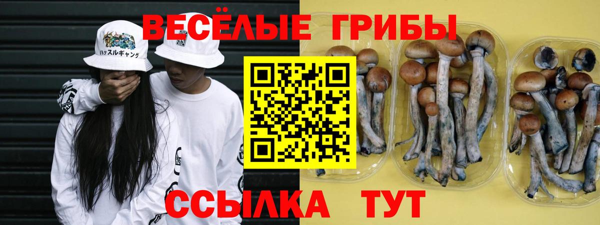 Галлюциногенные грибы GOLDEN TEACHER Муром